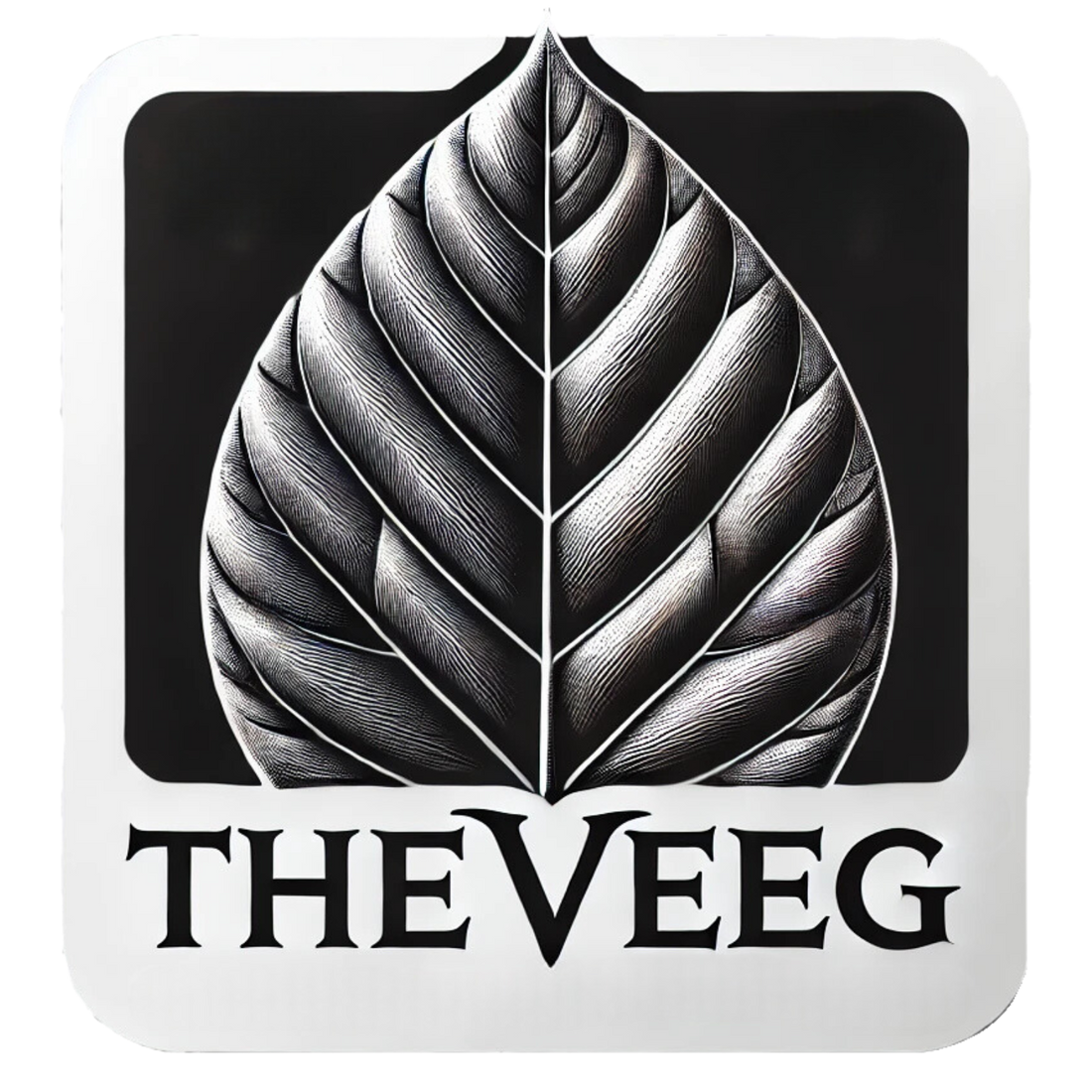 Brewing Boldly: Explore the Vibrant World of Coffee Innovation at The Veeg Café