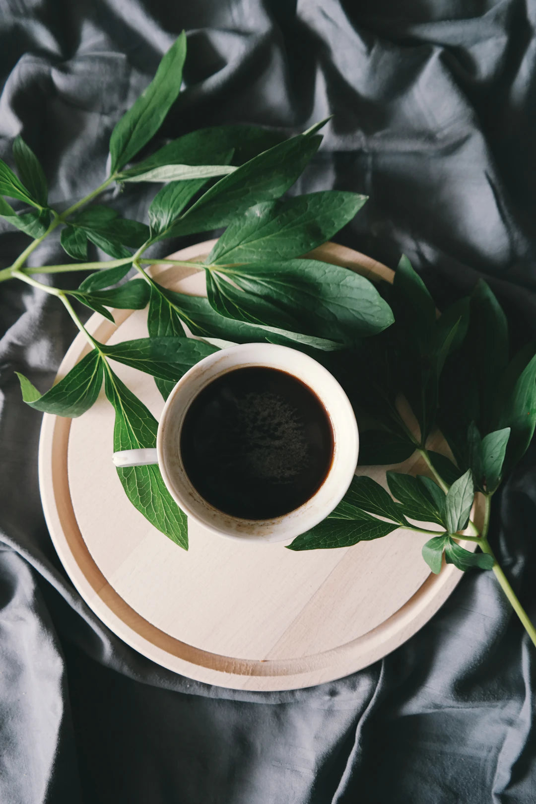 A Deep Dive into Coffee Certifications and Their Meanings