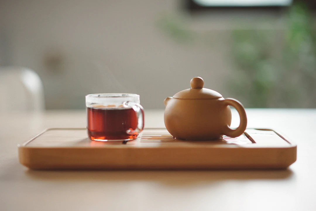 Launch Your Own Coffee Tasting Club Today