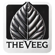 THE VEEG